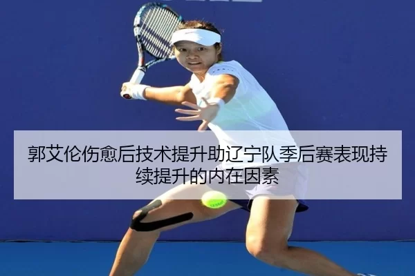 郭艾伦伤愈后技术提升助辽宁队季后赛表现持续提升的内在因素