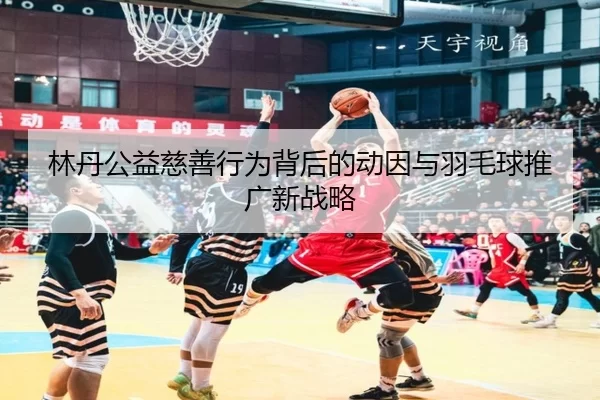 林丹公益慈善行为背后的动因与羽毛球推广新战略